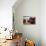 Whisky Barrels on Islay/View over to Jura/Whisky Barrels Stacked Up-Scott Jessiman Photo-Photographic Print displayed on a wall