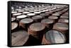 Whisky Barrels-jaimepharr-Framed Stretched Canvas