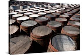 Whisky Barrels-jaimepharr-Stretched Canvas