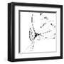 Whisper 1-Lesia Binkin-Framed Art Print