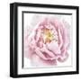 Whisper Floral-Bella Dos Santos-Framed Art Print