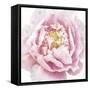 Whisper Floral-Bella Dos Santos-Framed Stretched Canvas