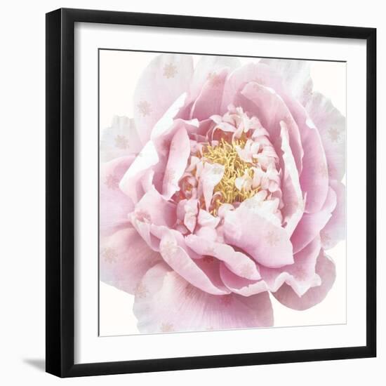 Whisper Floral-Bella Dos Santos-Framed Art Print