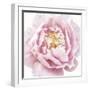 Whisper Floral-Bella Dos Santos-Framed Art Print