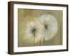 Whisper I-Andrew Michaels-Framed Art Print