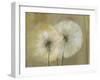 Whisper I-Andrew Michaels-Framed Art Print