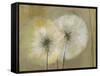 Whisper I-Andrew Michaels-Framed Stretched Canvas