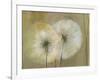 Whisper I-Andrew Michaels-Framed Art Print