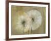 Whisper I-Andrew Michaels-Framed Art Print