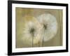 Whisper I-Andrew Michaels-Framed Art Print