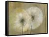 Whisper I-Andrew Michaels-Framed Stretched Canvas