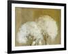 Whisper II-Andrew Michaels-Framed Art Print