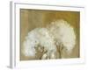 Whisper II-Andrew Michaels-Framed Art Print