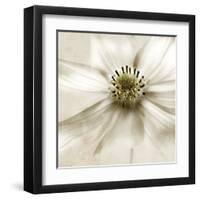 Whisper of Cosmos-Donna Geissler-Framed Art Print