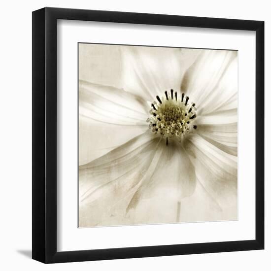 Whisper of Cosmos-Donna Geissler-Framed Art Print