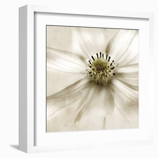 Whisper of Cosmos-Donna Geissler-Framed Art Print