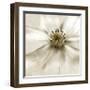 Whisper of Cosmos-Donna Geissler-Framed Giclee Print