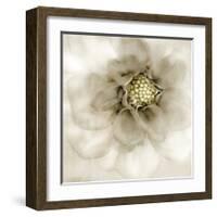 Whisper of Dahlia-Donna Geissler-Framed Giclee Print