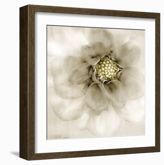 Whisper of Dahlia-Donna Geissler-Framed Giclee Print