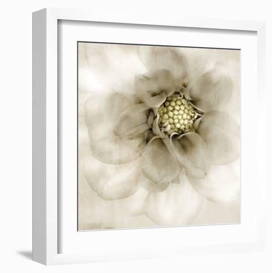 Whisper of Dahlia-Donna Geissler-Framed Giclee Print