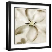 Whisper of Gardenia-Donna Geissler-Framed Giclee Print