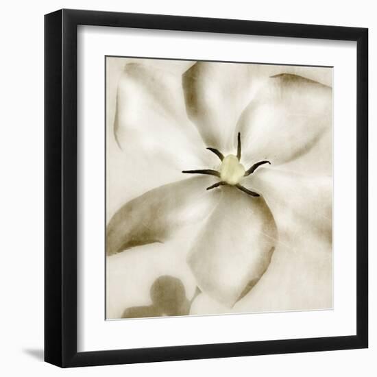Whisper of Gardenia-Donna Geissler-Framed Giclee Print