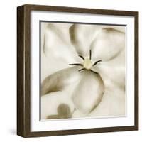 Whisper of Gardenia-Donna Geissler-Framed Giclee Print