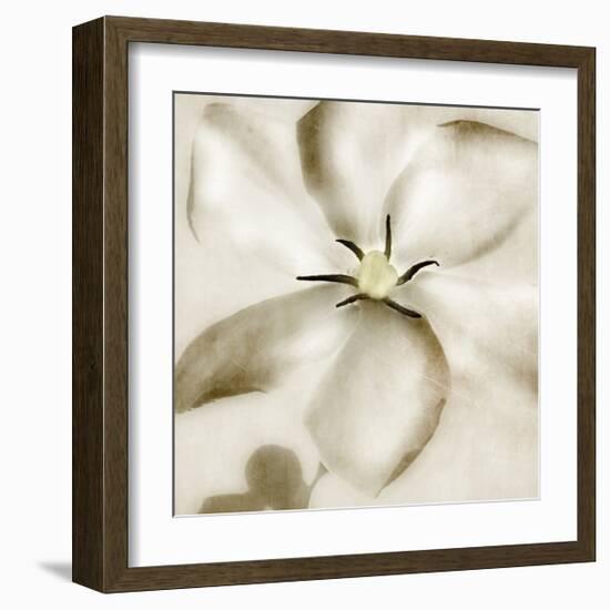 Whisper of Gardenia-Donna Geissler-Framed Giclee Print