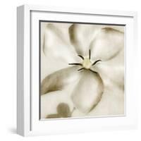 Whisper of Gardenia-Donna Geissler-Framed Giclee Print