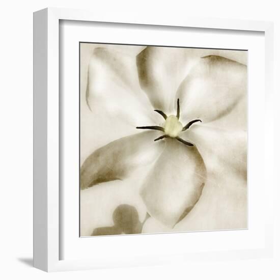 Whisper of Gardenia-Donna Geissler-Framed Giclee Print