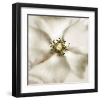 Whisper of Rose-Donna Geissler-Framed Giclee Print