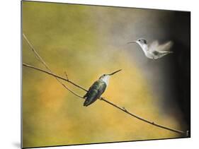 Whisper of Your Wings Hummingbirds-Jai Johnson-Mounted Giclee Print