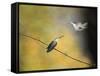 Whisper of Your Wings Hummingbirds-Jai Johnson-Framed Stretched Canvas