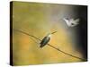 Whisper of Your Wings Hummingbirds-Jai Johnson-Stretched Canvas