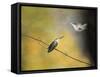 Whisper of Your Wings Hummingbirds-Jai Johnson-Framed Stretched Canvas