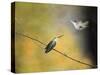 Whisper of Your Wings Hummingbirds-Jai Johnson-Stretched Canvas