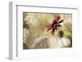 Whisper on the Wind-David Winston-Framed Giclee Print