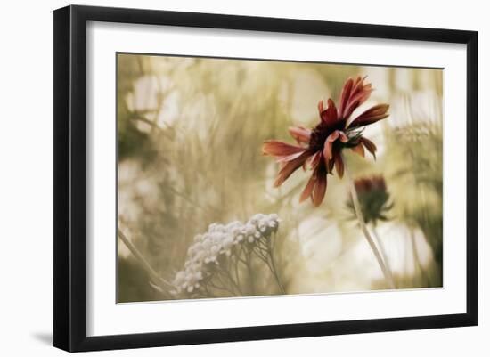 Whisper on the Wind-David Winston-Framed Giclee Print