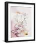 Whisper Petals III-Hope Bainbridge-Framed Art Print