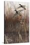 Whisper Wind and Wing - Mallards-Richard Clifton-Stretched Canvas