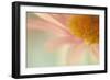 Whisper-Judy Stalus-Framed Photographic Print