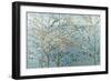 Whispering Aspen 3-Kruk-Framed Art Print