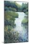 Whispering Creek-Tim O'toole-Mounted Giclee Print