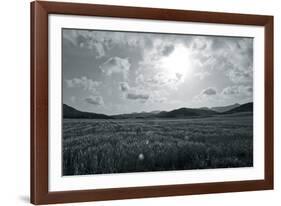 Whispering Grass-Mike Toy-Framed Giclee Print