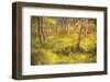 Whispering Grass-Michael Hudson-Framed Art Print