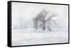 Whispering Silence-Philippe Sainte-Laudy-Framed Stretched Canvas