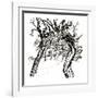 'Whispering Trees, From 'A Dish of Apples', 1917, (1923)-Arthur Rackham-Framed Giclee Print