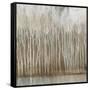 Whispering Trees II-Tim OToole-Framed Stretched Canvas