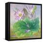 Whispering-Ailian Price-Framed Stretched Canvas