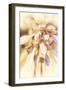 Whispers and Wantings-Mindy Sommers-Framed Giclee Print
